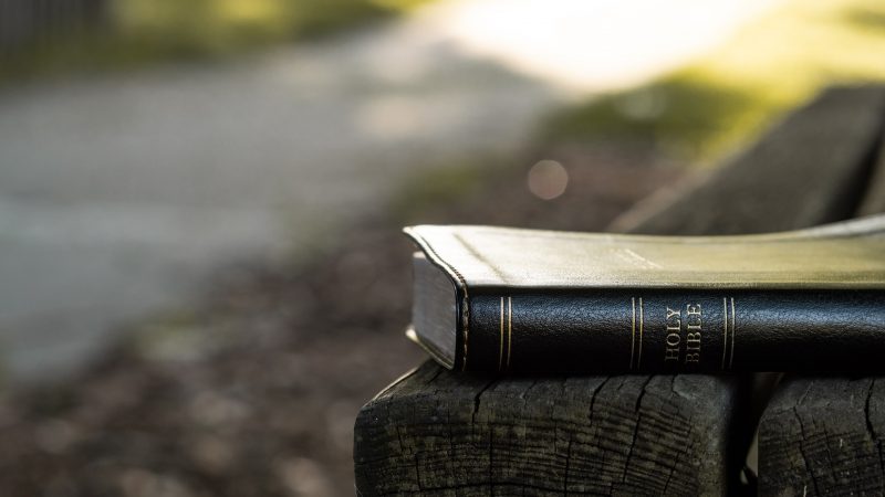 Why Read Your Bible and Pray Every Day (in 500 words)